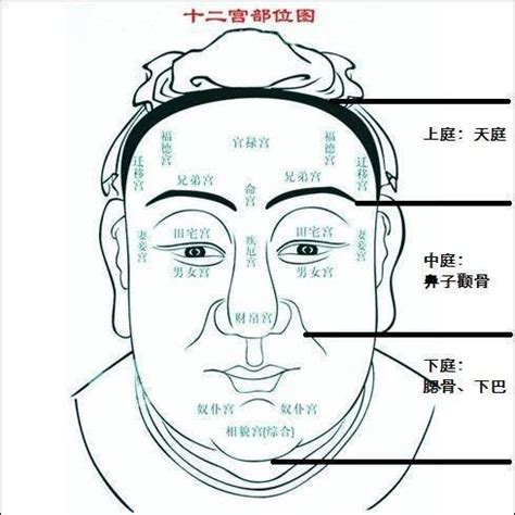 60歲面相|【50至60歲面相】揭密！50至60歲面相圖解，掌握晚年運勢密碼